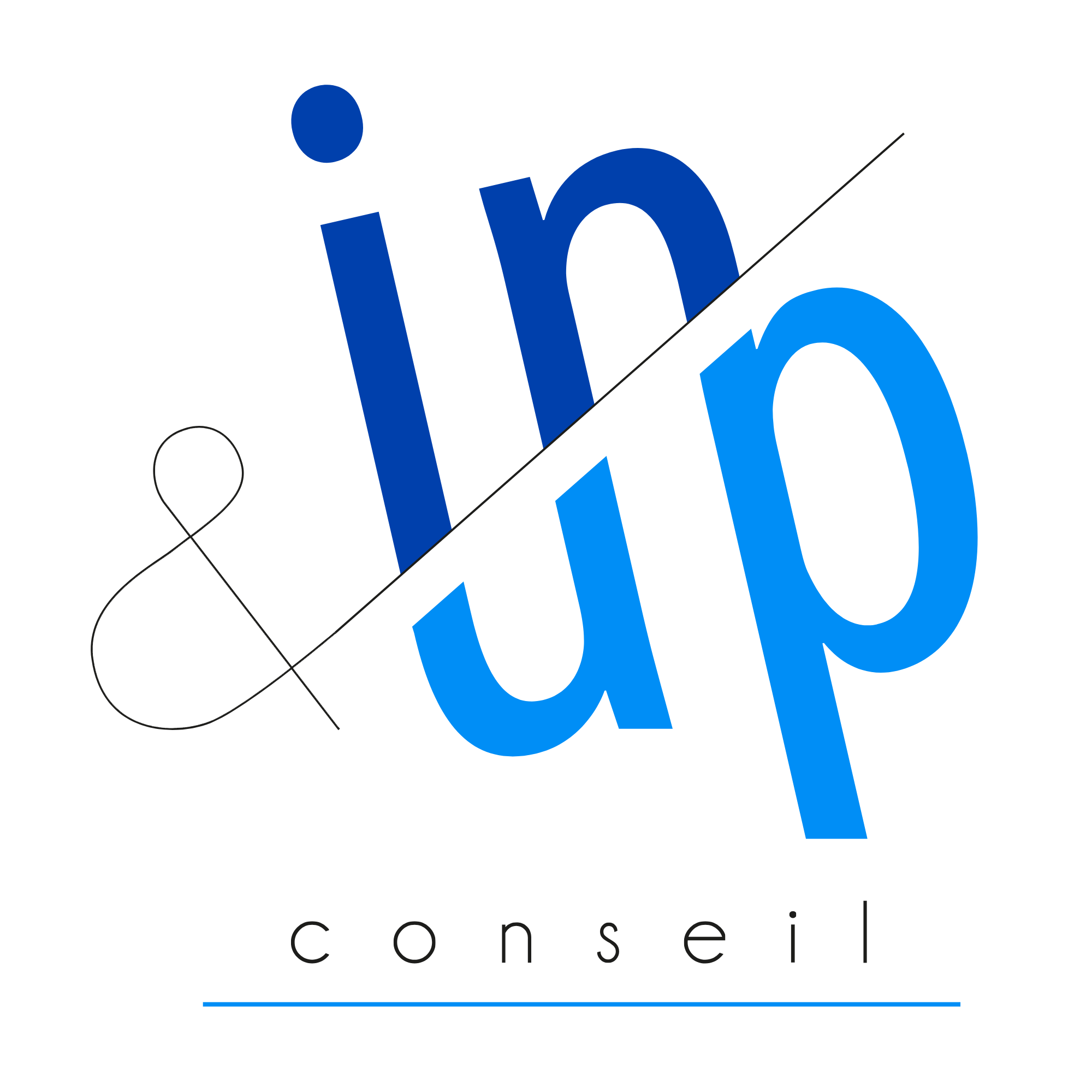 In&Up conseil